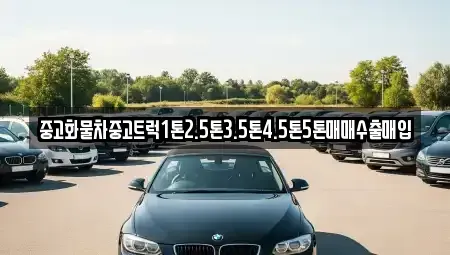 전북특별자치도 임실군 강진면 단기렌트카,중고차매입,중고차매매,중고차,렌트카,장기렌트카