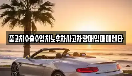 전북특별자치도 전주시 덕진구 중동 중고차매입 전문 중고차수출수입차노후차사고차량매입매매센타