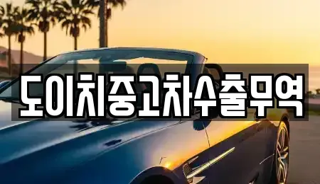 전북특별자치도 전주시 완산구 서완산동2가 중고차 전문 도이치중고차수출무역
