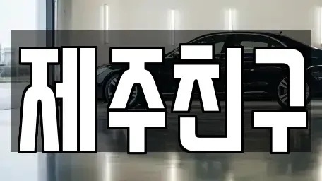 제주 서귀포시 남원읍 렌트카,단기렌트카,장기렌트카,중고차,중고차매매,중고차매입