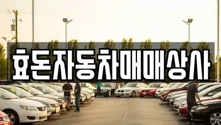 제주 서귀포시 남원읍 중고차 전문 효돈자동차매매상사