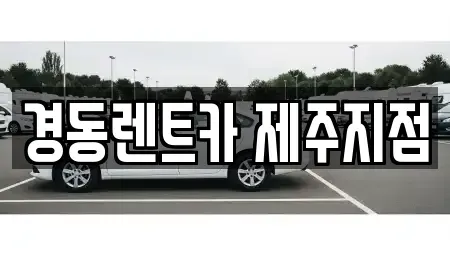 제주 제주시 도평동 단기렌트카 전문 경동렌트카 제주지점