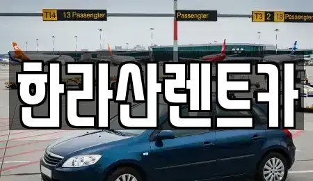 제주 제주시 도평동 렌트카,단기렌트카,장기렌트카,중고차,중고차매매,중고차매입