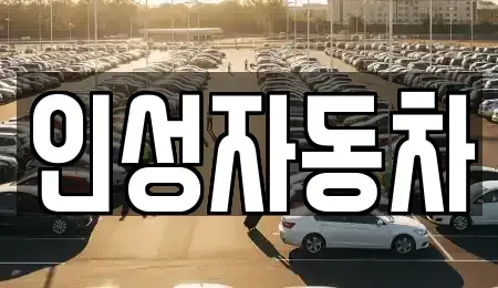 제주 제주시 도평동 중고차 전문 인성자동차