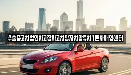 제주 제주시 삼양일동 중고차 전문 수출중고차법인차고장사고차망자차압류차1톤차매입센터