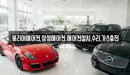 제주 제주시 삼양일동 중고차매입 전문 캐리어에어컨,삼섬에어컨,에어컨설치,수리,가스충전