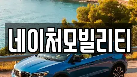 제주 제주시 월평동 렌트카 전문 네이처모빌리티