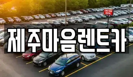 제주특별자치도 제주시 용담일동 장기렌트카 전문 제주마음렌트카