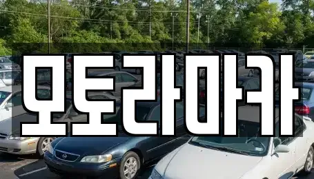 제주특별자치도 제주시 용담일동 중고차 전문 모토라마카