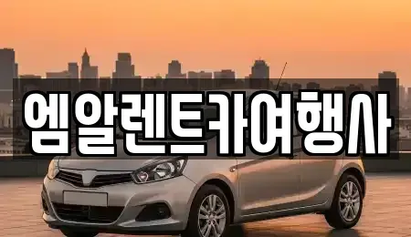 충남 공주시 신관동 렌트카 전문 엠알렌트카여행사