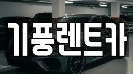 충남 공주시 월미동 렌트카 전문 기풍렌트카