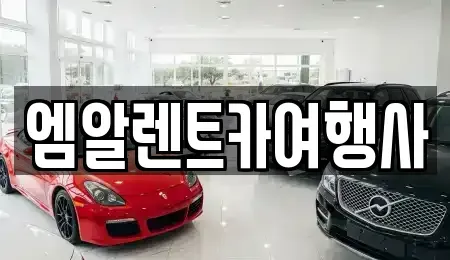충남 공주시 월미동 렌트카 전문 엠알렌트카여행사