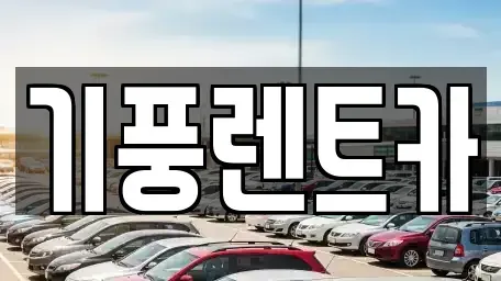 충남 공주시 월미동 장기렌트카 전문 기풍렌트카