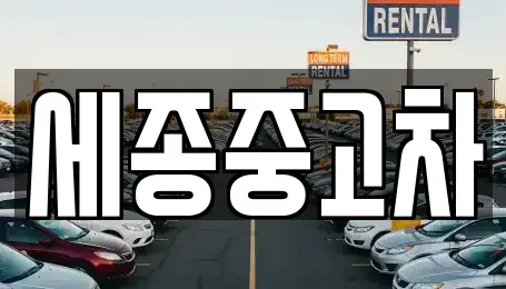 충남 공주시 월미동 중고차 전문 세종중고차
