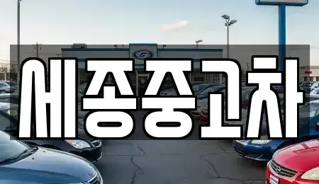 충남 공주시 월미동 중고차매매 전문 세종중고차