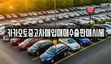 충남 공주시 월미동 중고차매입 전문 카카오토중고차매입매매수출판매시세