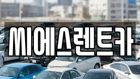 충남 당진시 시곡동 렌트카 전문 씨에스렌트카