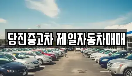 충남 당진시 정미면 중고차매매 전문 당진중고차 제일자동차매매
