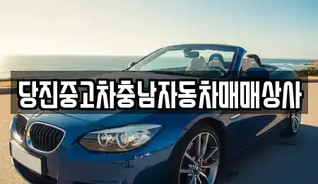 충남 당진시 정미면 중고차매매 전문 당진중고차충남자동차매매상사