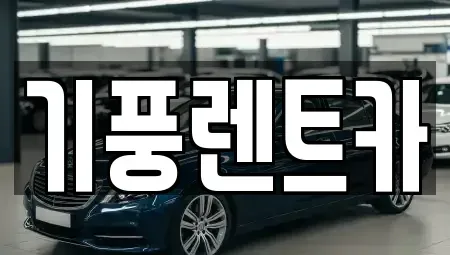 충남 부여군 렌트카 전문 기풍렌트카