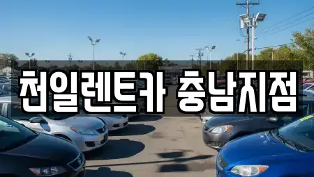 충남 부여군 렌트카,단기렌트카,장기렌트카,중고차,중고차매매,중고차매입