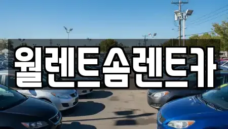 충남 아산시 장존동 렌트카 전문 월렌트솜렌트카