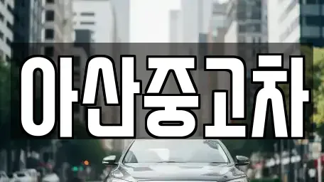 충남 아산시 장존동 중고차 전문 아산중고차