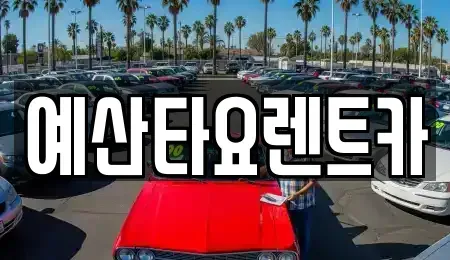 충남 예산군 삽교읍 렌트카,단기렌트카,장기렌트카,중고차,중고차매매,중고차매입
