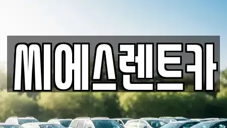 충남 천안시 동남구 다가동 렌트카 전문 씨에스렌트카