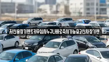 충남 천안시 동남구 다가동 렌트카 전문 저신용장기렌트카무심사누구나바로즉시가능중고신차장기렌