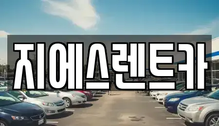 충남 천안시 동남구 다가동 렌트카 전문 지에스렌트카