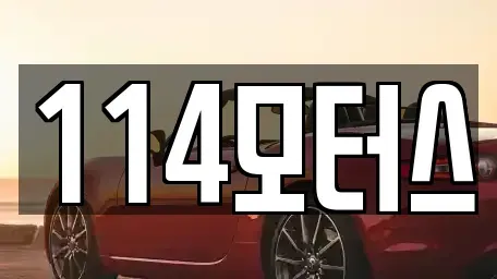 충남 천안시 동남구 다가동 중고차매매 전문 114모터스