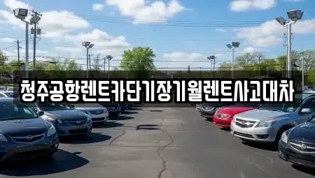 충남 천안시 동남구 단기렌트카 전문 청주공항렌트카단기장기월렌트사고대차