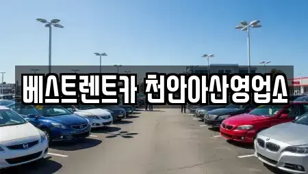 충남 천안시 동남구 렌트카,단기렌트카,장기렌트카,중고차,중고차매매,중고차매입