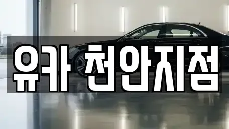 충남 천안시 동남구 중고차 전문 유카 천안지점