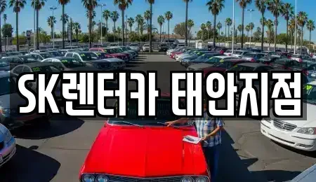 충남 태안군 렌트카,단기렌트카,장기렌트카,중고차,중고차매매,중고차매입
