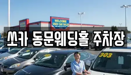 충남 태안군 렌트카 전문 쏘카 동문웨딩홀 주차장