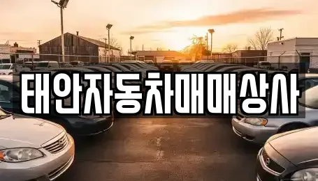 충남 태안군 중고차 전문 태안자동차매매상사