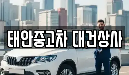 충남 태안군 중고차 전문 태안중고차 대건상사