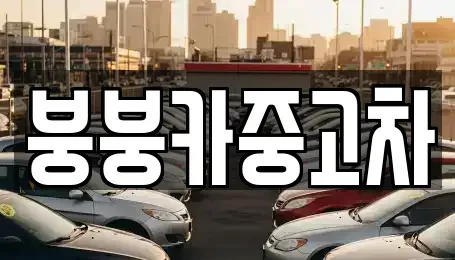 충북 단양군 가곡면 중고차 전문 붕붕카중고차