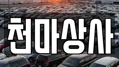 충북 보은군 보은읍 중고차매매,단기렌트카,중고차매입,장기렌트카,중고차,렌트카