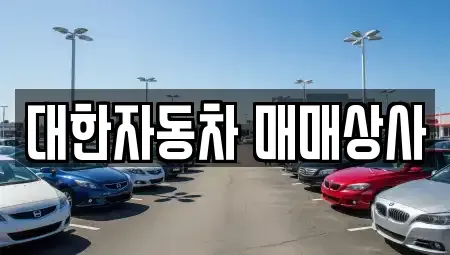 충북 제천시 고암동 중고차 전문 대한자동차 매매상사