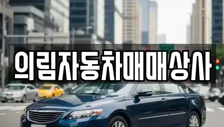 충북 제천시 덕산면 중고차 전문 의림자동차매매상사