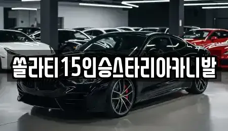 충북 제천시 화산동 렌트카 전문 쏠라티15인승스타리아카니발