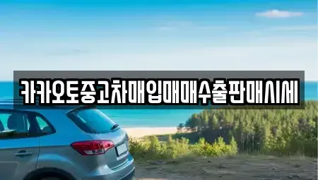 충북 청주시 청원구 정북동 중고차 전문 카카오토중고차매입매매수출판매시세