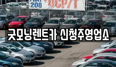 충북 청주시 흥덕구 신전동 렌트카 전문 굿모닝렌트카 신청주영업소