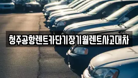 충북 청주시 흥덕구 신전동 장기렌트카,중고차,렌트카,단기렌트카,중고차매입,중고차매매