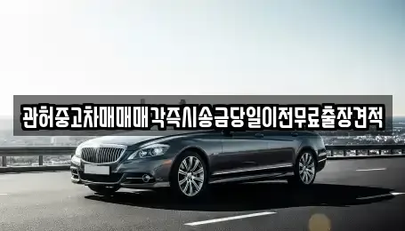 충북 청주시 흥덕구 신전동 중고차 전문 관허중고차매매매각즉시송금당일이전무료출장견적