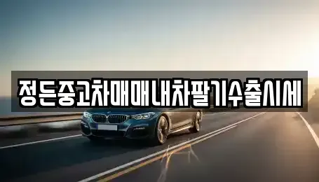충북 충주시 엄정면 중고차 전문 정든중고차매매내차팔기수출시세