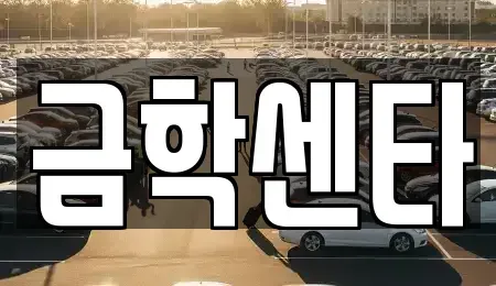 충청남도 공주시 봉정동 중고차 전문 금학센타
